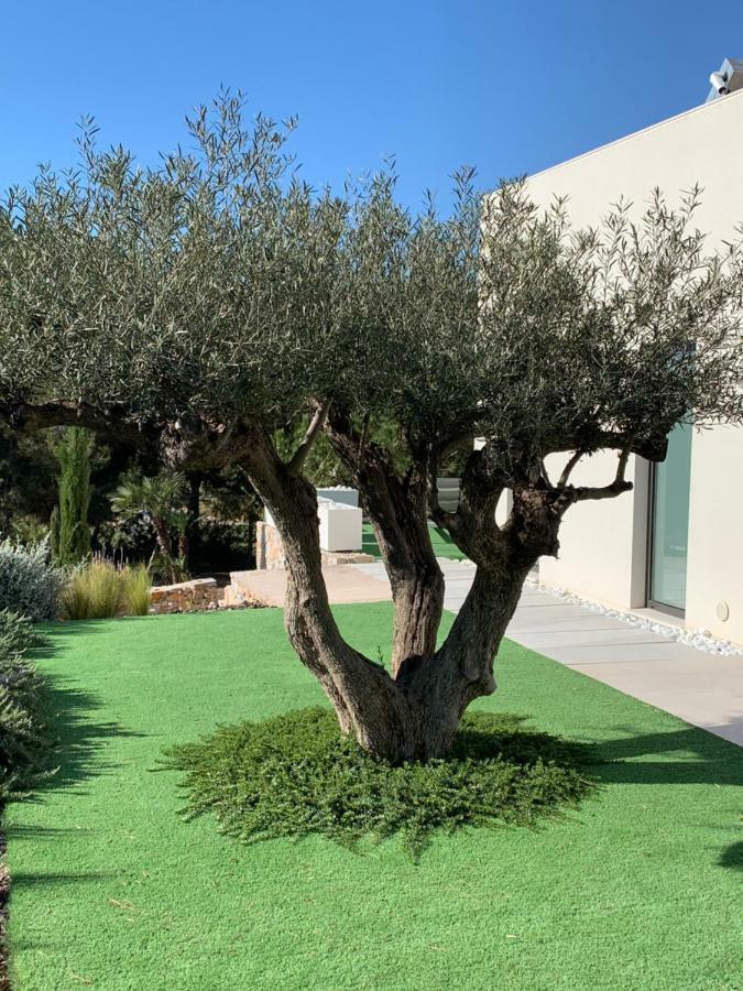 Villa Colinas Golf
